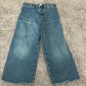 Zara Blue Flare Wide Leg Jeans with Cropped Hem